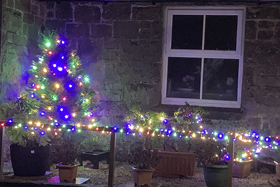 Merry Christmas and a Happy New Year 2024