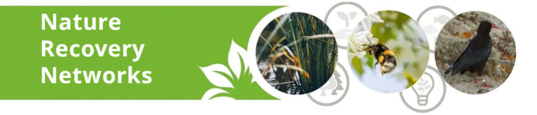 Nature Recovery Networks Talk 12 October 2023