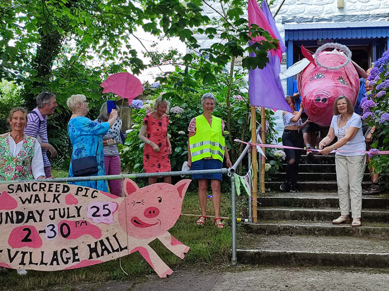 Sancreed Pig Walk 2023