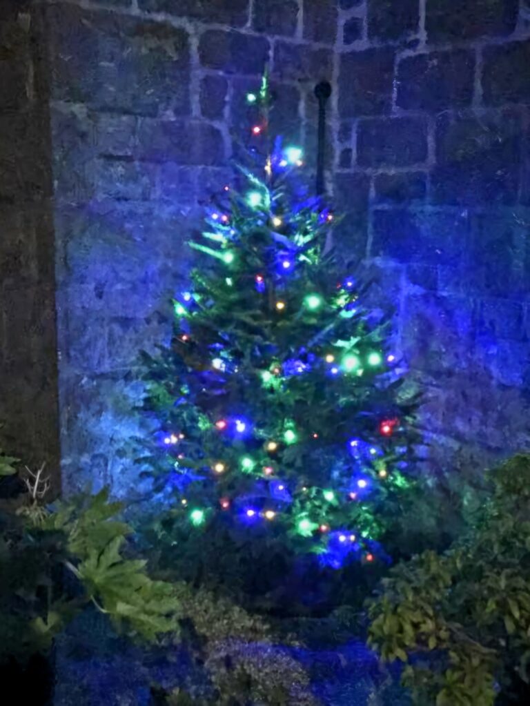 Merry Winterfest 2024